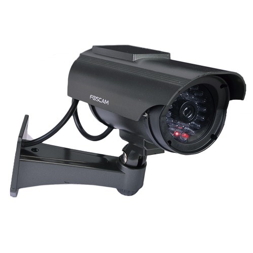 Foscam FDS2150C Solar Powered Indoor/Outdoor Imitation Camera w/Red Blinking Light (Charcoal)