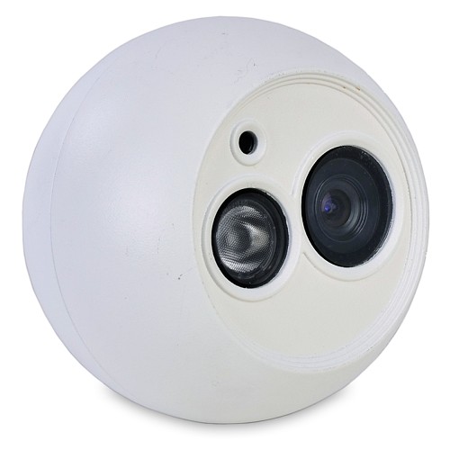 Foscam FI9853EP Outdoor Power Over Ethernet (PoE) IP Camera w/65' Night Vision