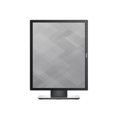 Dell P1917S