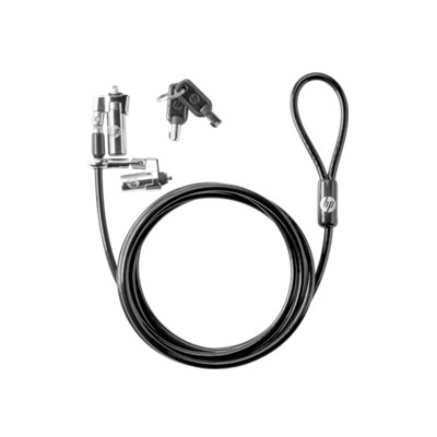 HP Nano Dual Head