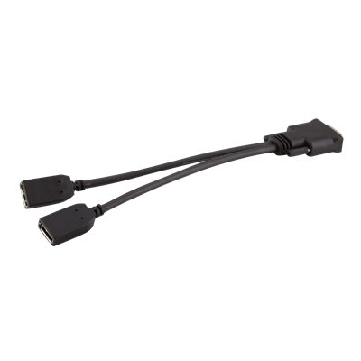 HP DMS-59 to Dual DisplayPort Kit